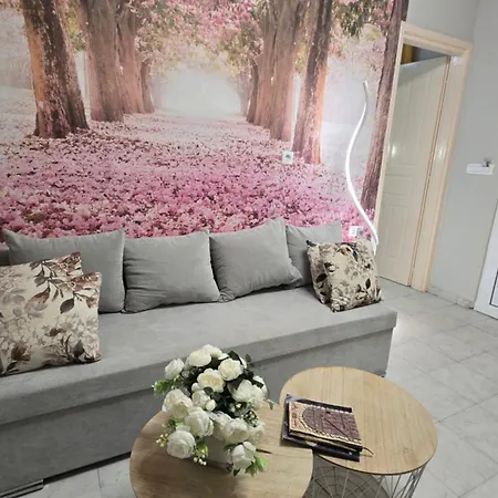 Dafni With His Pets *